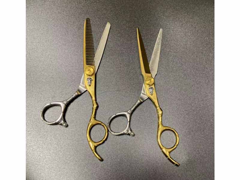 Stainless Steel Hair Cutting Scissors