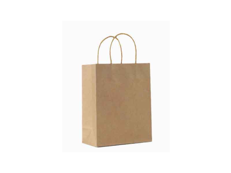 Shopping Paper Bag